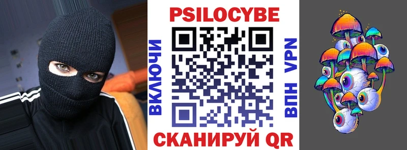ОМГ ОМГ онион  Владивосток  Псилоцибиновые грибы Psilocybe 